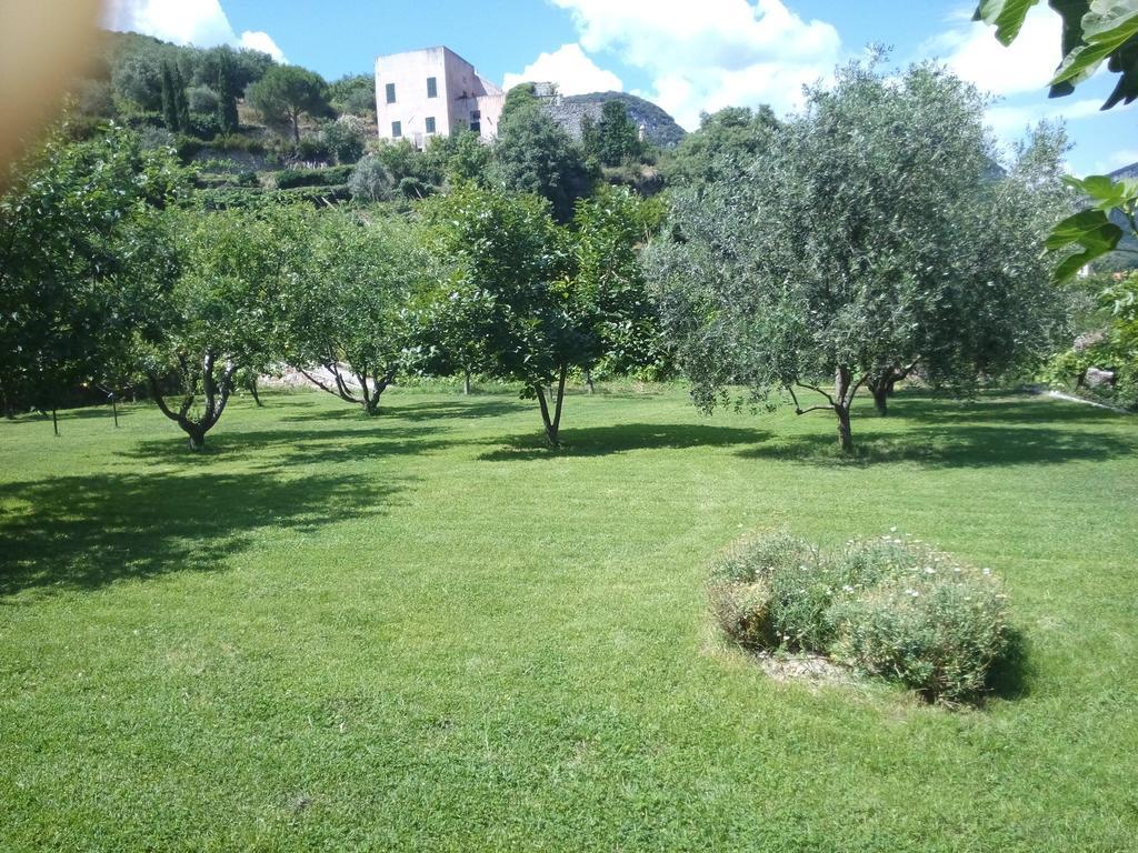 Casa Papaveri Rossi Finale Ligure Quarto foto